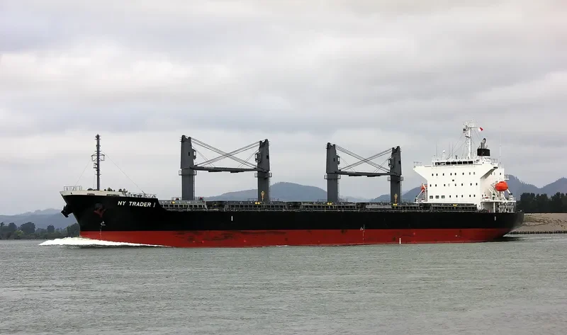 ST.PATRICK Bulk Carrier IMO 9691498 photo 7