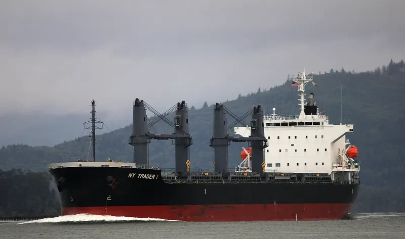 ST.PATRICK Bulk Carrier IMO 9691498 photo 8