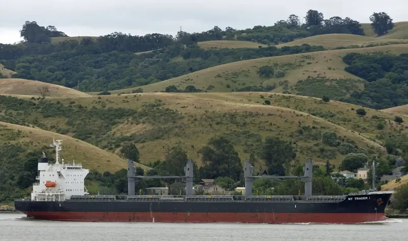 ST.PATRICK Bulk Carrier IMO 9691498 photo 10
