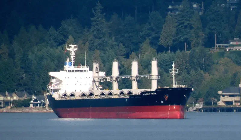 ATLANTIC EAGLE Bulk Carrier IMO 9691503