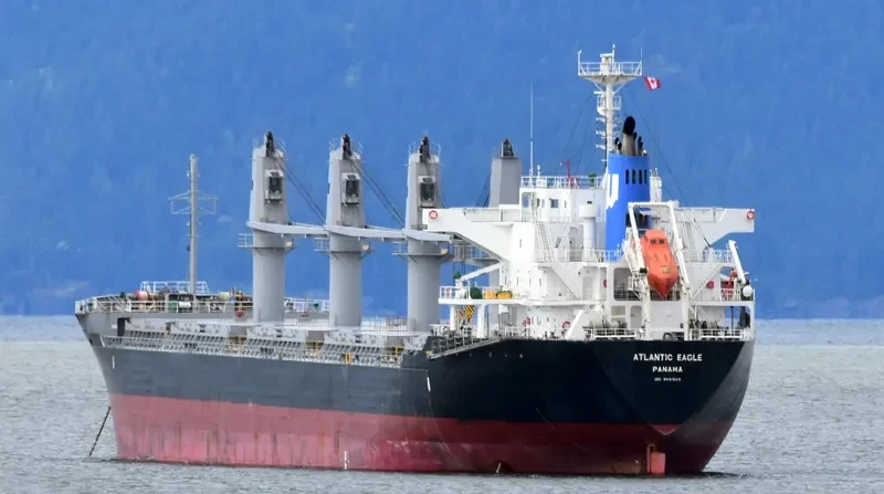 ATLANTIC EAGLE Bulk Carrier IMO 9691503 photo 2