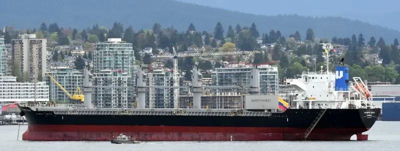 ATLANTIC EAGLE Bulk Carrier IMO 9691503 photo 3