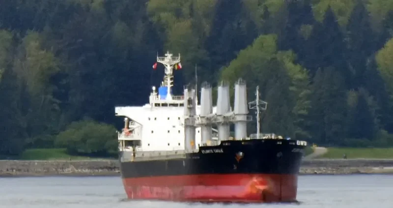 ATLANTIC EAGLE Bulk Carrier IMO 9691503 photo 4
