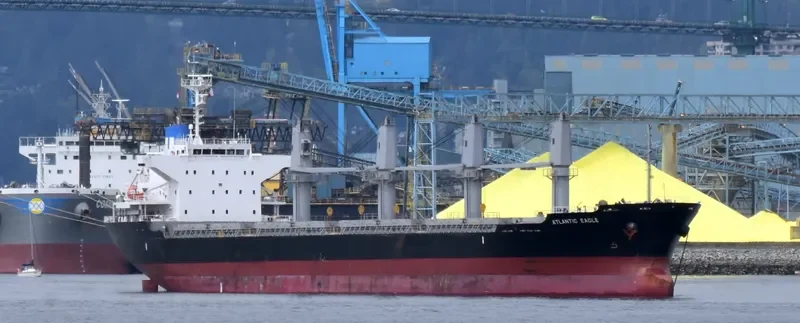 ATLANTIC EAGLE Bulk Carrier IMO 9691503 photo 5