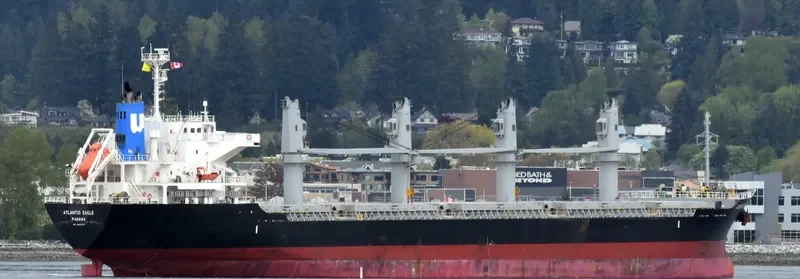 ATLANTIC EAGLE Bulk Carrier IMO 9691503 photo 6
