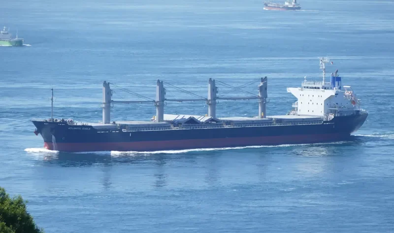 ATLANTIC EAGLE Bulk Carrier IMO 9691503 photo 8