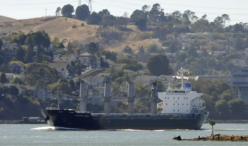 ATLANTIC EAGLE Bulk Carrier IMO 9691503 photo 10
