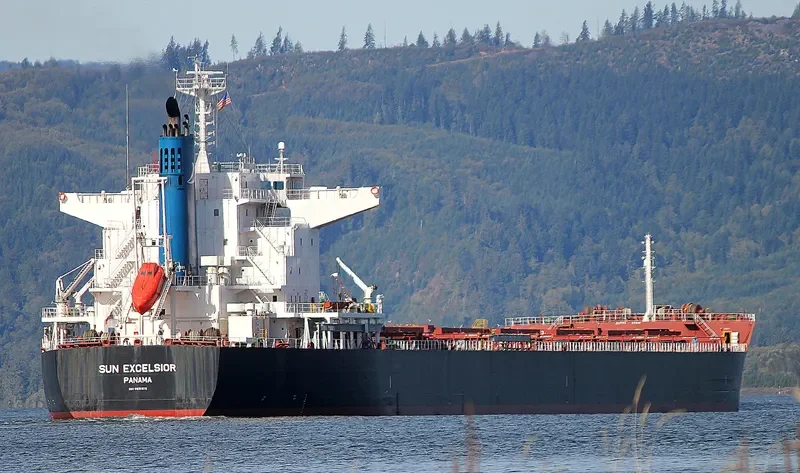 SUN EXCELSIOR Bulk Carrier IMO 9691515