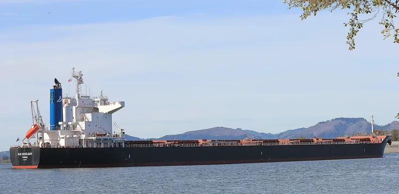 SUN EXCELSIOR Bulk Carrier IMO 9691515 photo 2