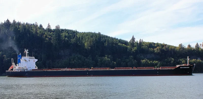 SUN EXCELSIOR Bulk Carrier IMO 9691515 photo 3
