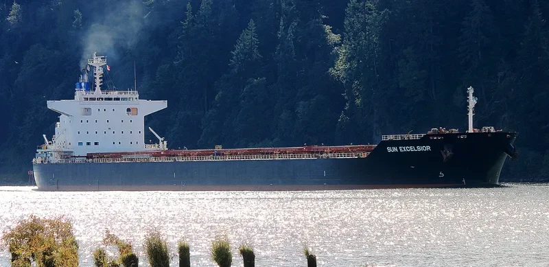 SUN EXCELSIOR Bulk Carrier IMO 9691515 photo 4