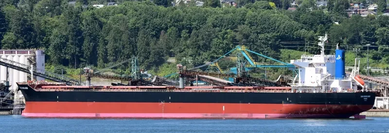 SUN EXCELSIOR Bulk Carrier IMO 9691515 photo 5