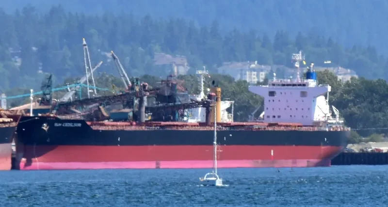 SUN EXCELSIOR Bulk Carrier IMO 9691515 photo 6