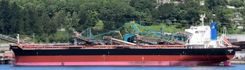 SUN EXCELSIOR Bulk Carrier IMO 9691515 photo 7