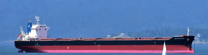 SUN EXCELSIOR Bulk Carrier IMO 9691515 photo 8