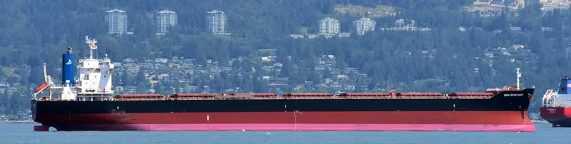 SUN EXCELSIOR Bulk Carrier IMO 9691515 photo 9