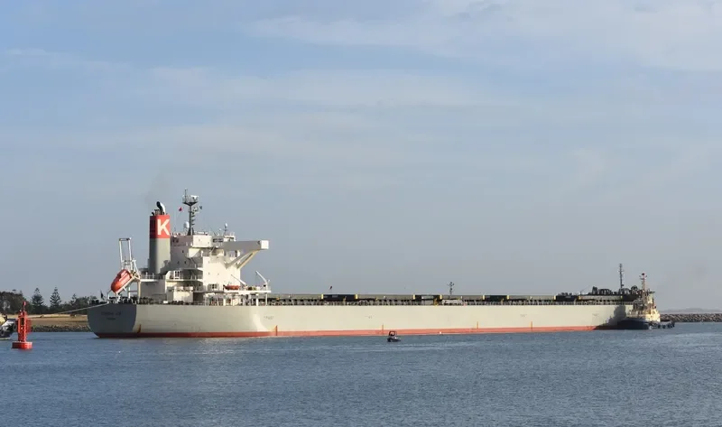 CORONA ACE Bulk Carrier IMO 9691527