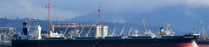 MORNING SALUTE Bulk Carrier IMO 9691539
