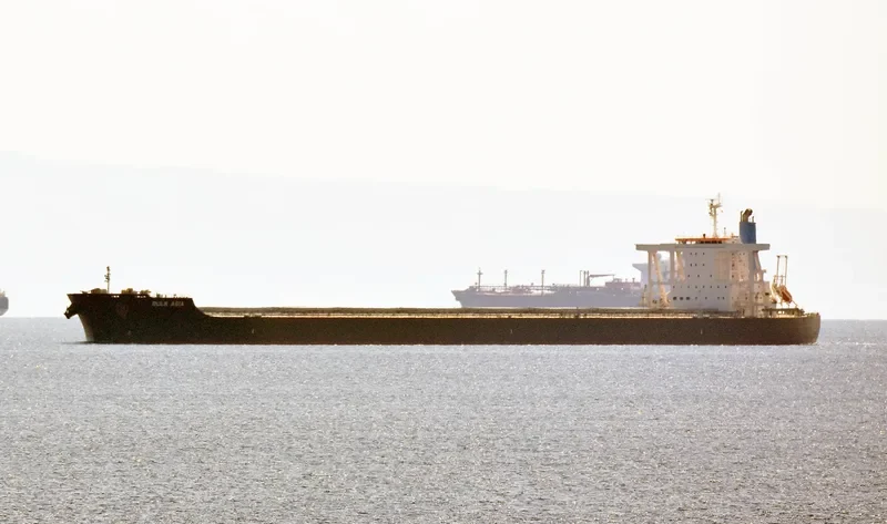 TRUE CARTIER Bulk Carrier IMO 9691553