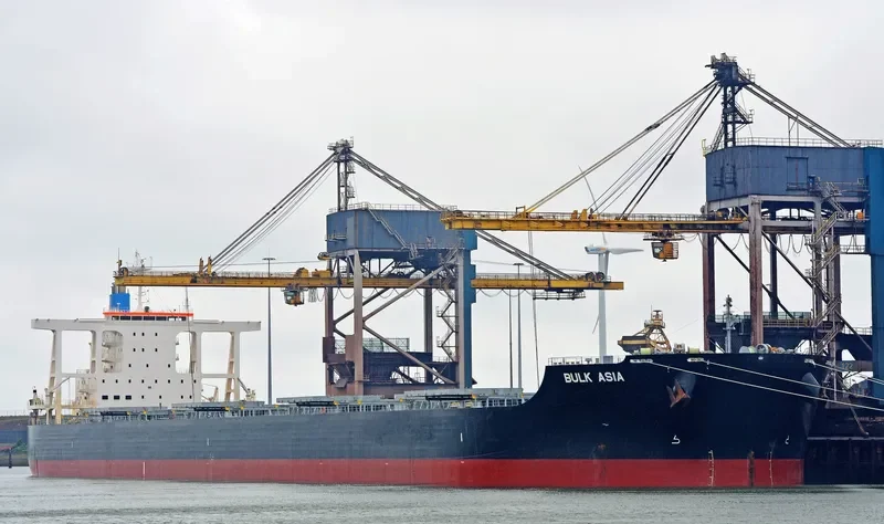 TRUE CARTIER Bulk Carrier IMO 9691553 photo 7
