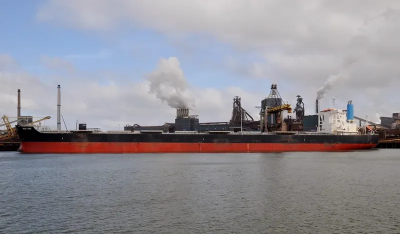 TRUE CARTIER Bulk Carrier IMO 9691553 photo 10