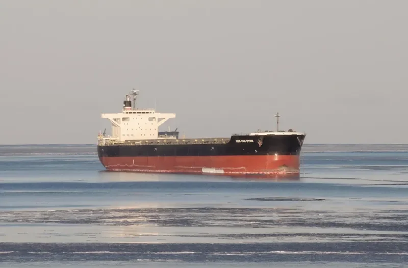 NBA VAN DYCK Bulk Carrier IMO 9691565
