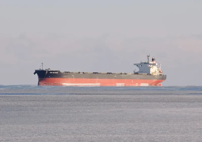 NBA VAN DYCK Bulk Carrier IMO 9691565 photo 2