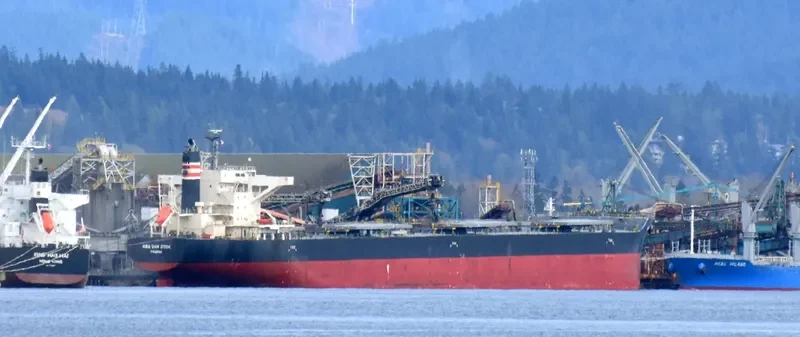 NBA VAN DYCK Bulk Carrier IMO 9691565 photo 6