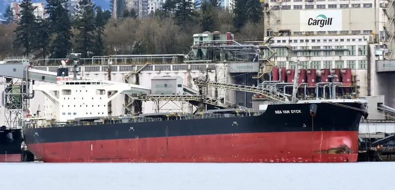 NBA VAN DYCK Bulk Carrier IMO 9691565 photo 8