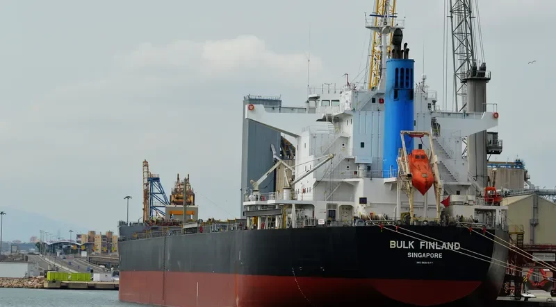 BULK FINLAND Bulk Carrier IMO 9691577 photo 2