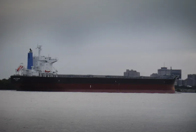 BULK FINLAND Bulk Carrier IMO 9691577 photo 6