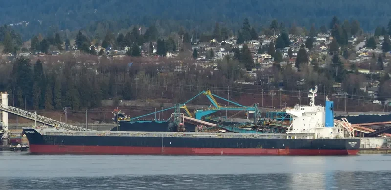 BULK FINLAND Bulk Carrier IMO 9691577 photo 7