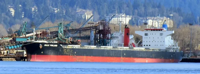 BULK FINLAND Bulk Carrier IMO 9691577 photo 9