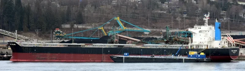 BULK FINLAND Bulk Carrier IMO 9691577 photo 10