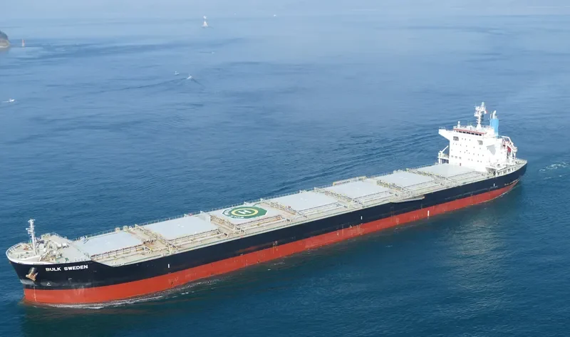 BULK SWEDEN Bulk Carrier IMO 9691589