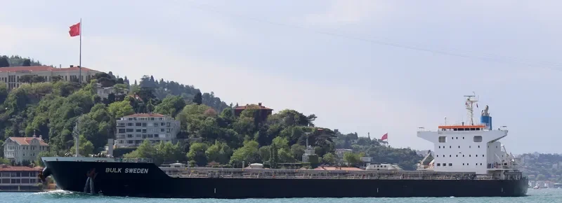 BULK SWEDEN Bulk Carrier IMO 9691589 photo 2