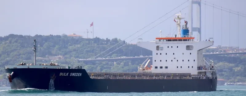 BULK SWEDEN Bulk Carrier IMO 9691589 photo 3