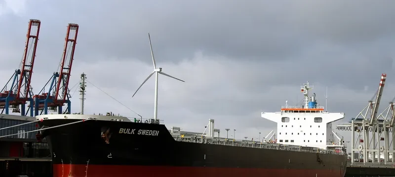 BULK SWEDEN Bulk Carrier IMO 9691589 photo 6
