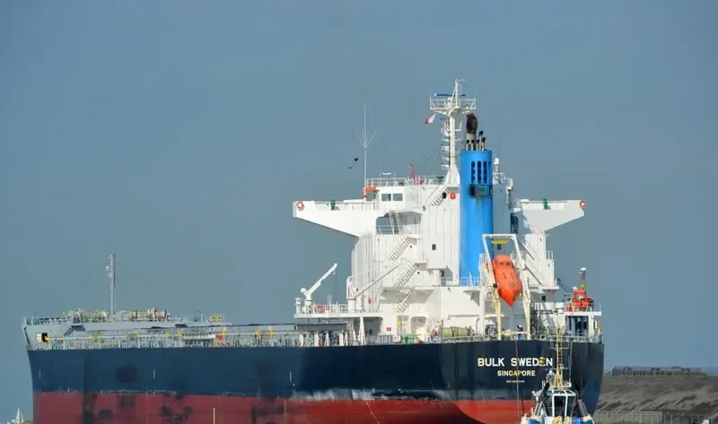BULK SWEDEN Bulk Carrier IMO 9691589 photo 7