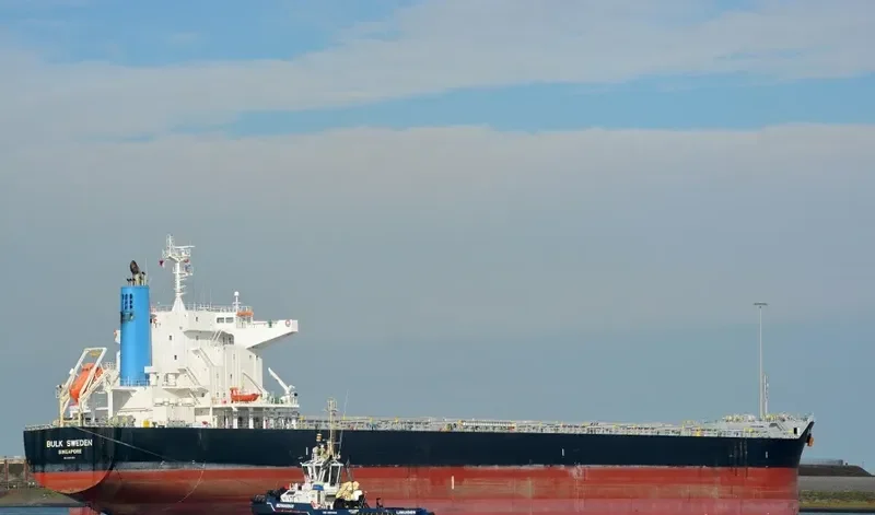 BULK SWEDEN Bulk Carrier IMO 9691589 photo 8