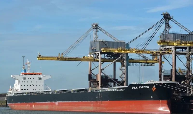 BULK SWEDEN Bulk Carrier IMO 9691589 photo 10