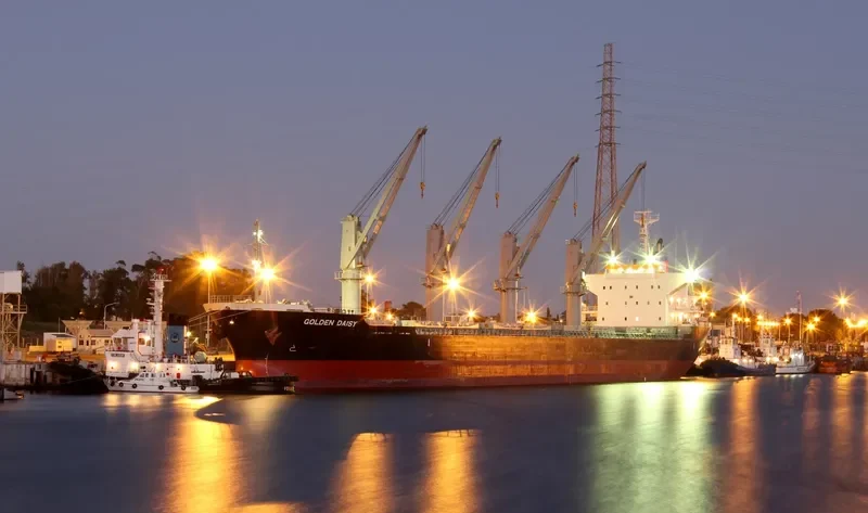 GOLDEN DAISY Bulk Carrier IMO 9691591
