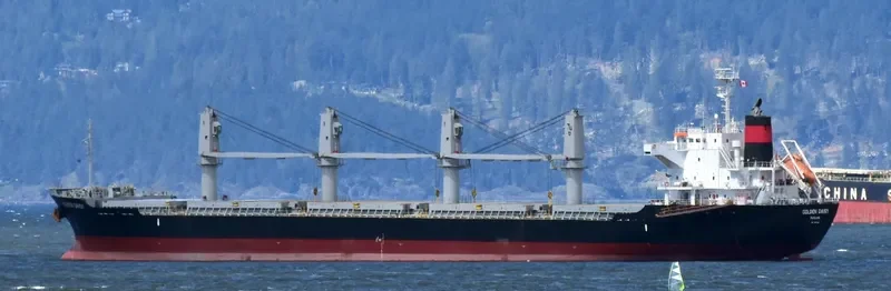GOLDEN DAISY Bulk Carrier IMO 9691591 photo 2
