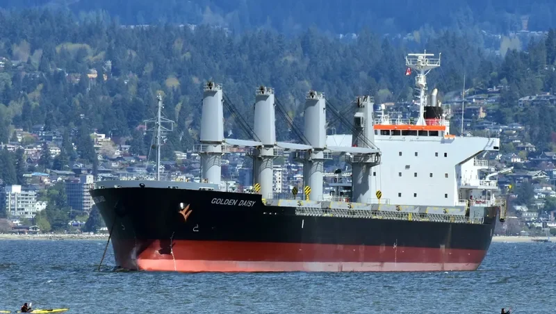 GOLDEN DAISY Bulk Carrier IMO 9691591 photo 4