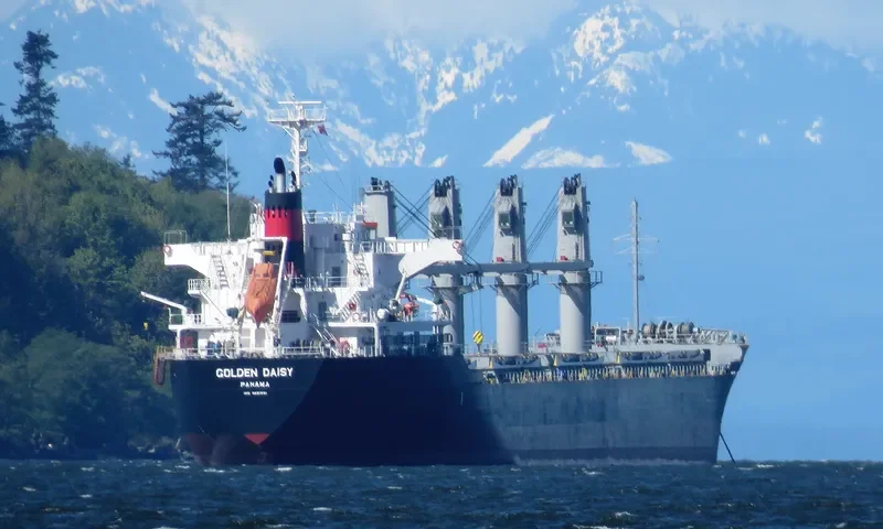 GOLDEN DAISY Bulk Carrier IMO 9691591 photo 5