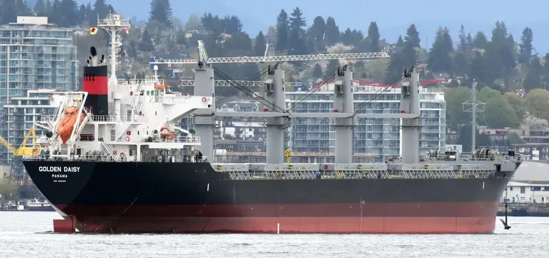 GOLDEN DAISY Bulk Carrier IMO 9691591 photo 6