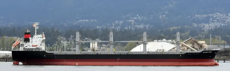 GOLDEN DAISY Bulk Carrier IMO 9691591 photo 7