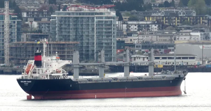 GOLDEN DAISY Bulk Carrier IMO 9691591 photo 8