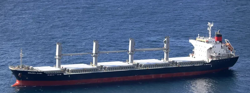 GOLDEN DAISY Bulk Carrier IMO 9691591 photo 9
