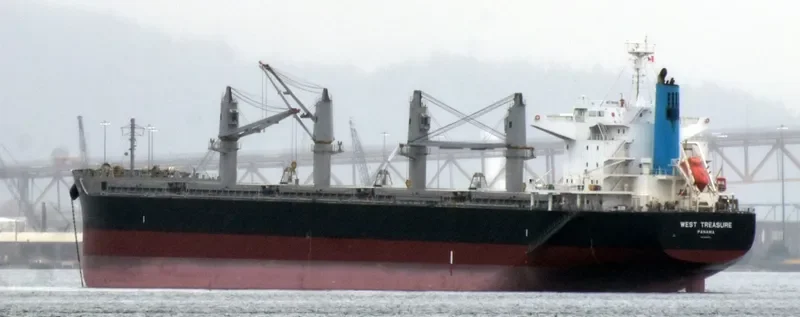 WEST TREASURE Bulk Carrier IMO 9691620
